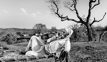 The Temples, Tribes & Lions of Gujarat